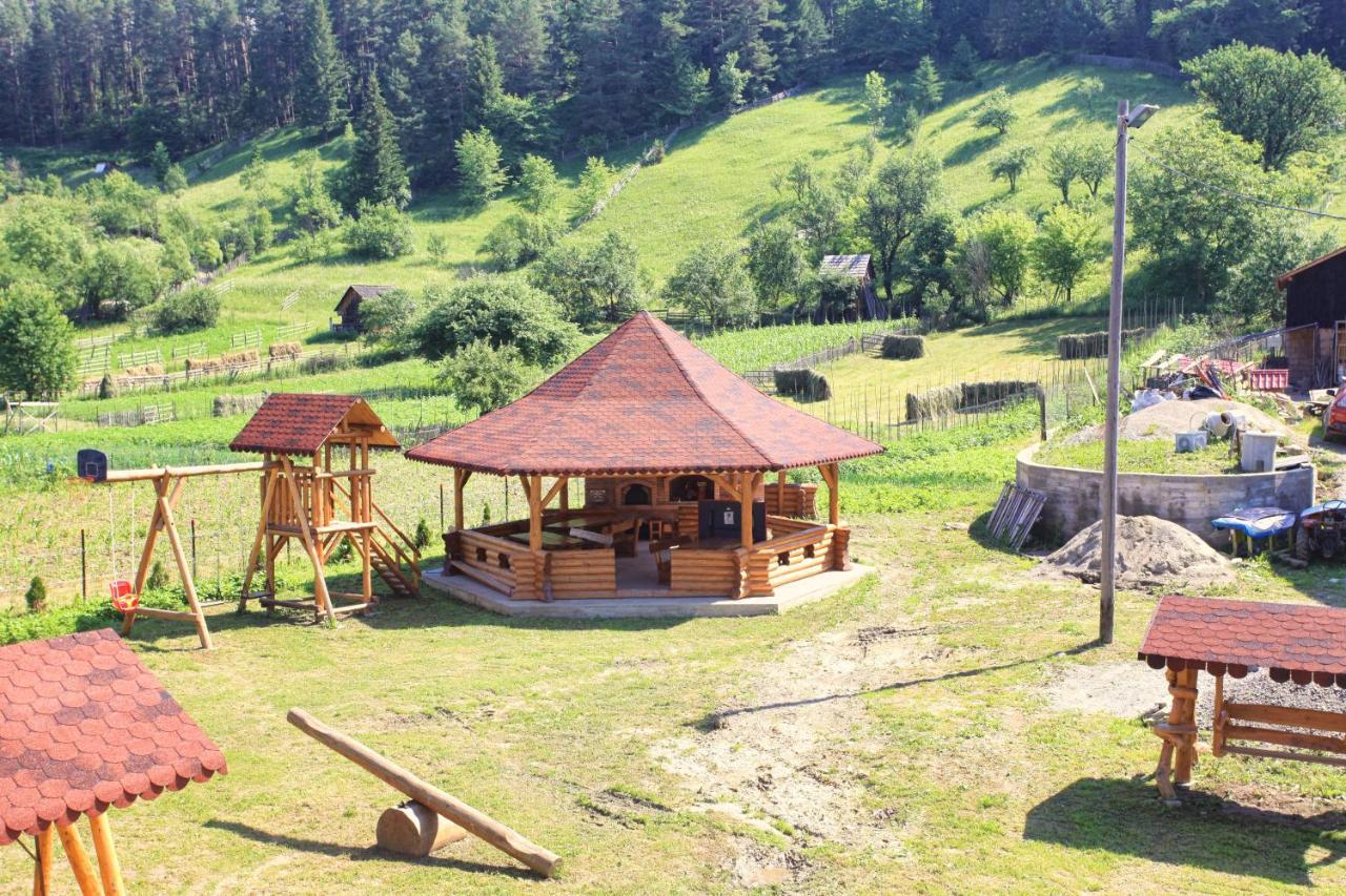 Pensiunea Paradiso Poiana Teiului エクステリア 写真